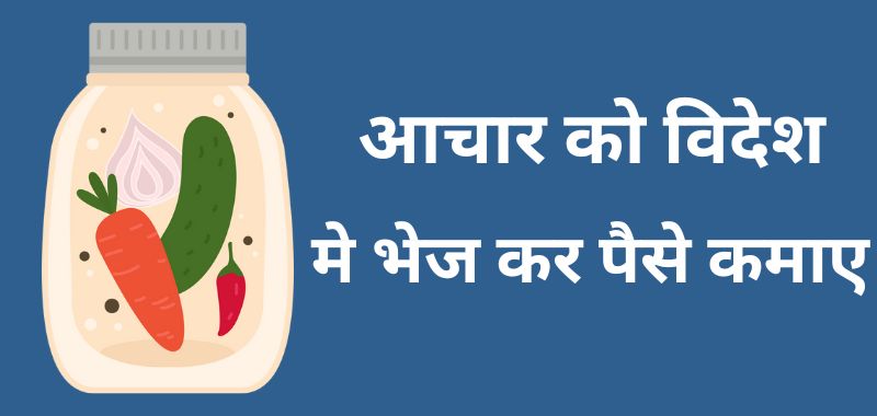 Pickle Small Business Ideas In Hindi - इम्पोर्ट एक्सपोर्ट बिज़नस आइडियाज हिंदी में